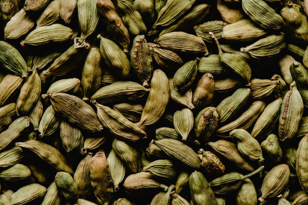 7 Warming Herbs Positive to Keep You Cozy This Fall! 6 cardamom