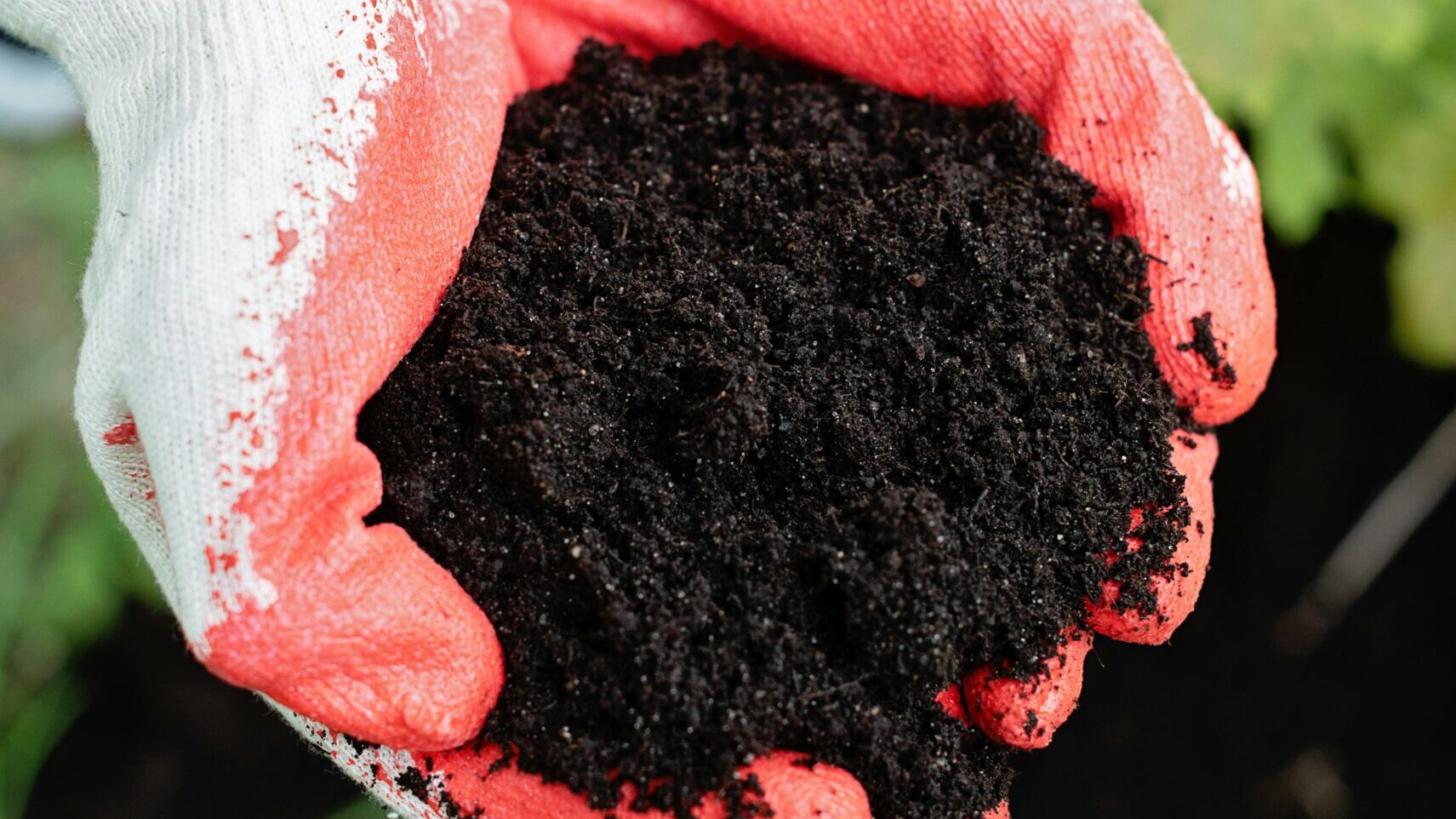 pexels mikhail nilov 8543583 edited