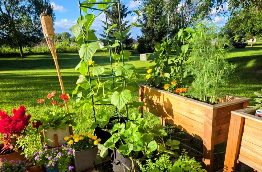 Welcome to wildground Living 5 home patio garden