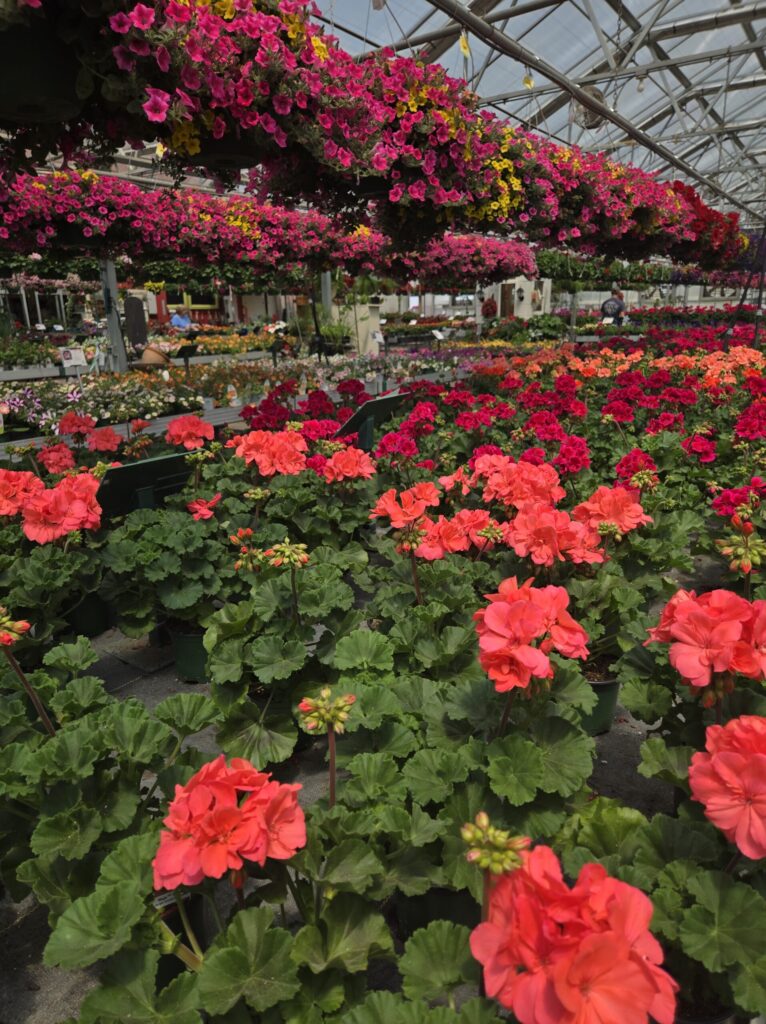 Welcome to wildground Living 6 garden center