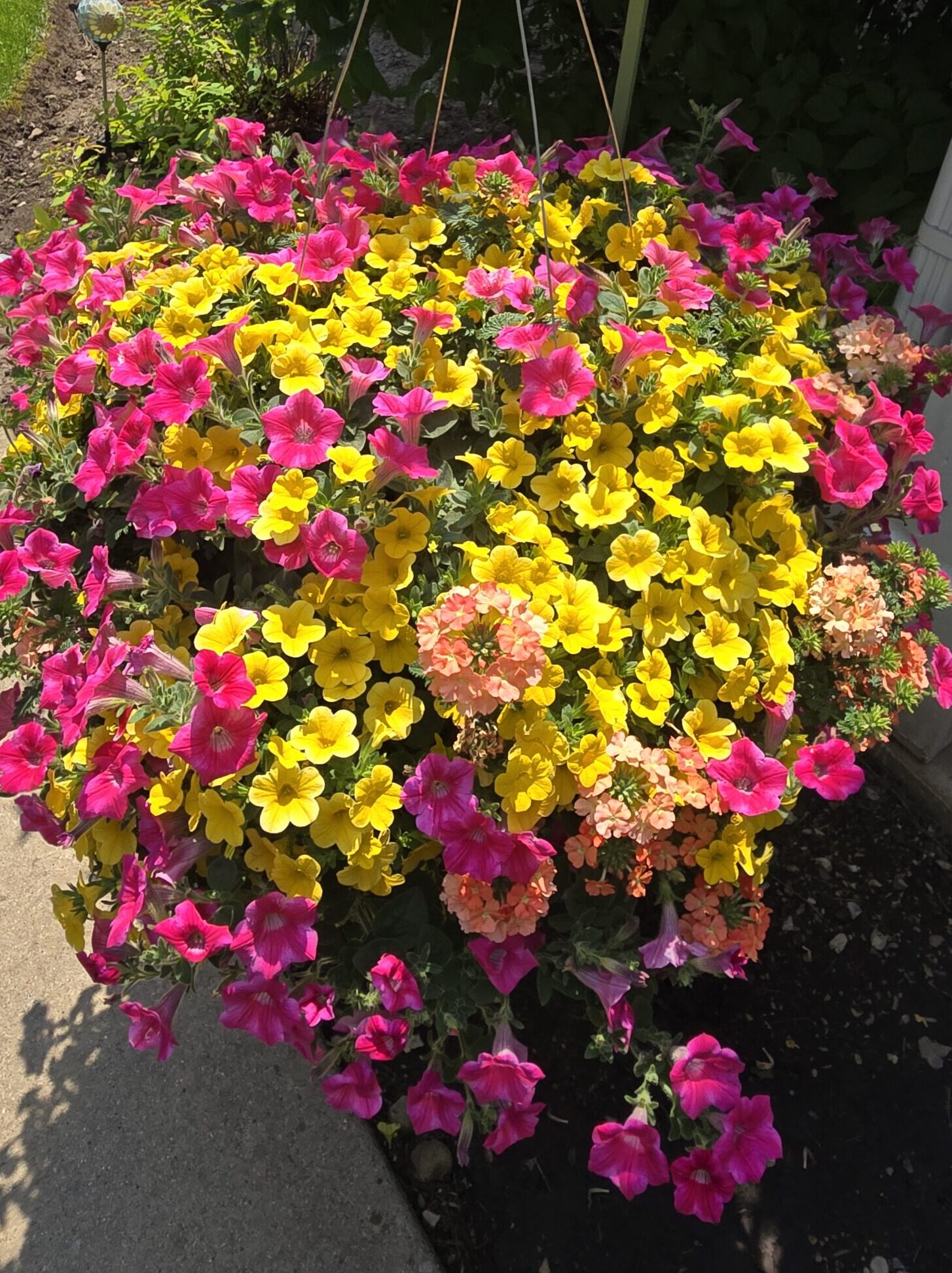 20250601 140504 edited