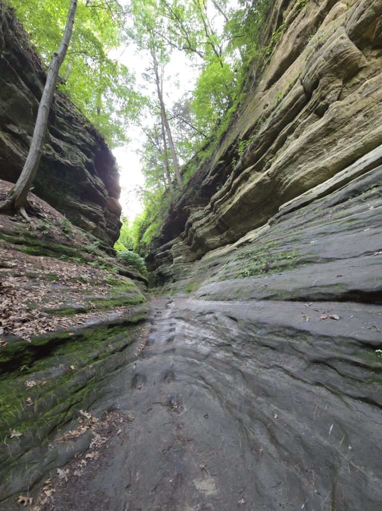 Welcome to wildground Living 3 rock query