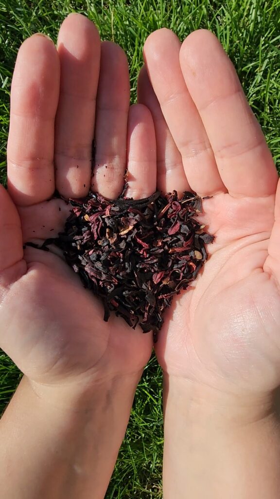 VideoCapture 20240602 110348