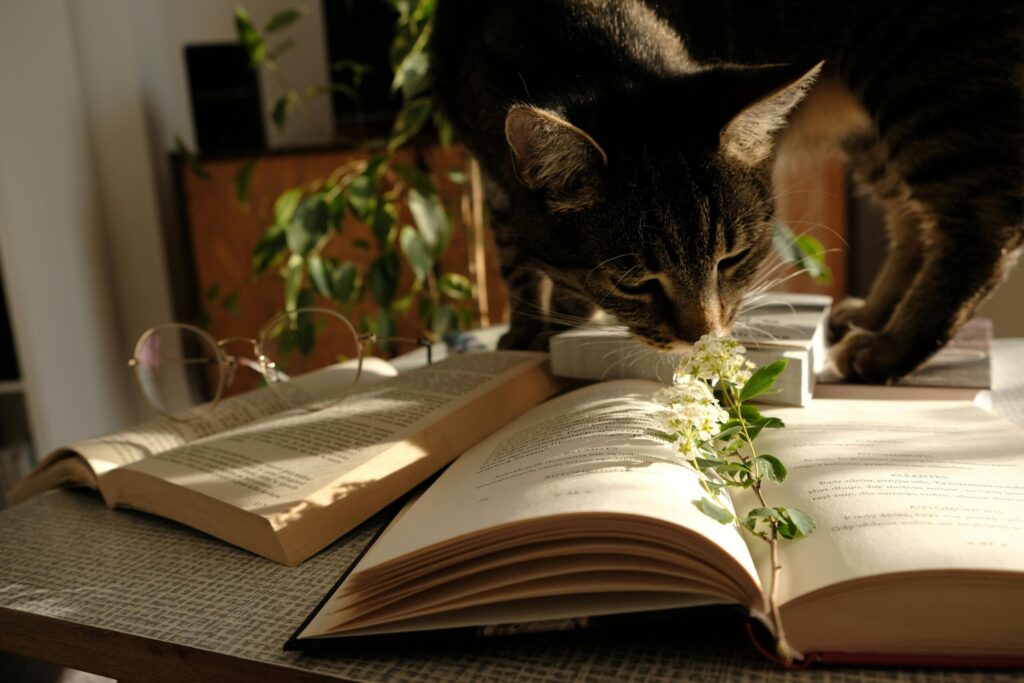 Welcome to wildground Living 2 cat smelling a book open next to plants