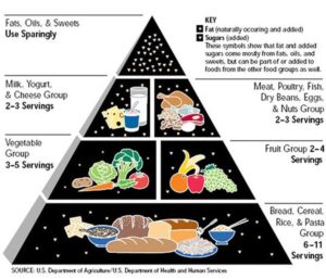 food pyramid 300x257 1