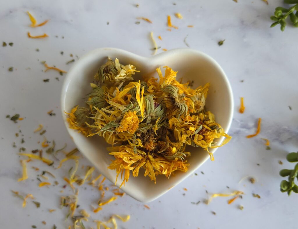 dried candula flower on the kitchen counter