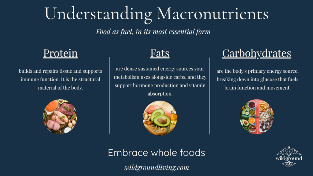 understanding macronutrients infographic