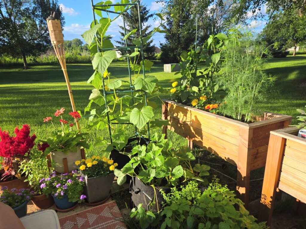 container herb garden