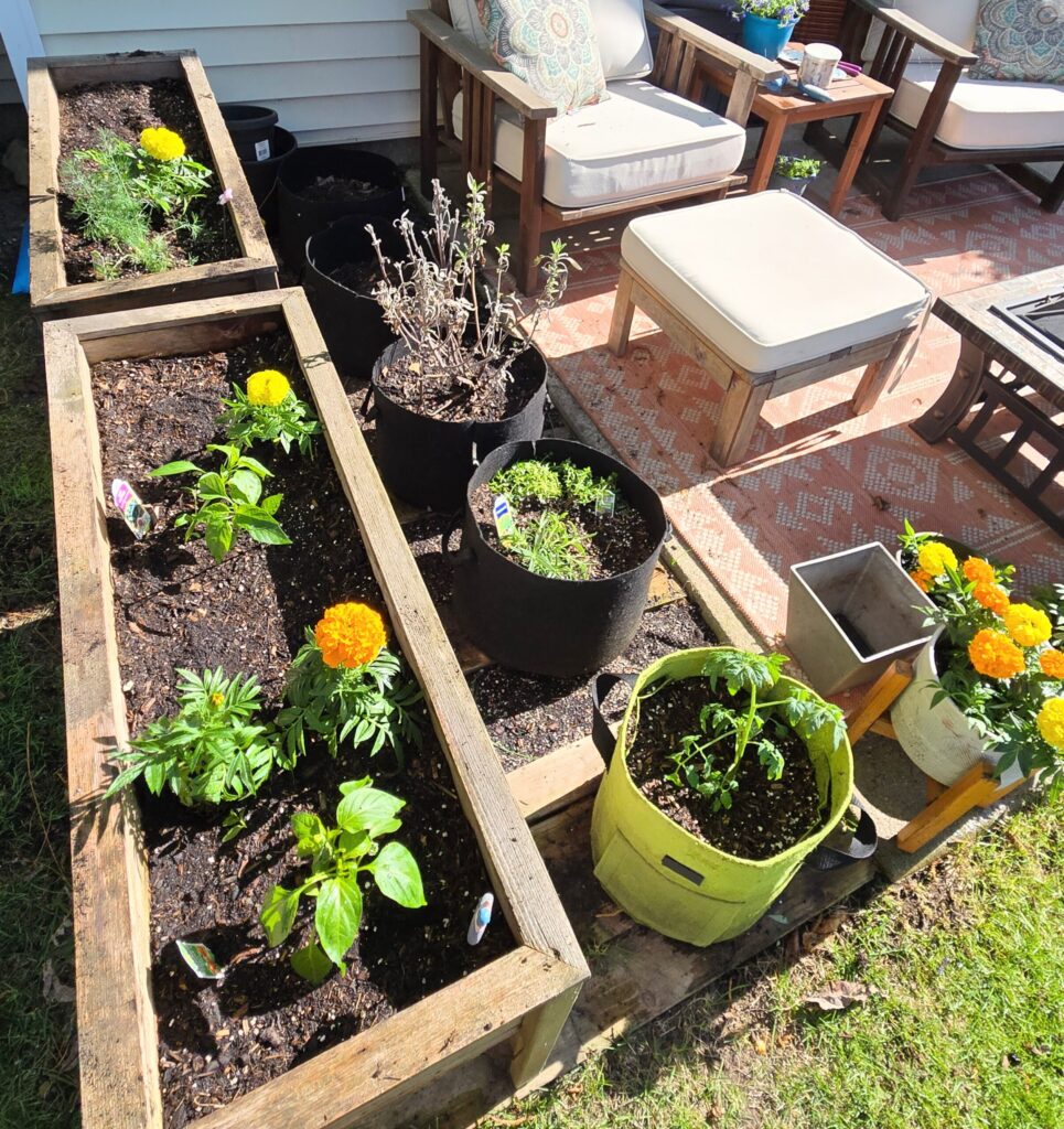 container herb garden
