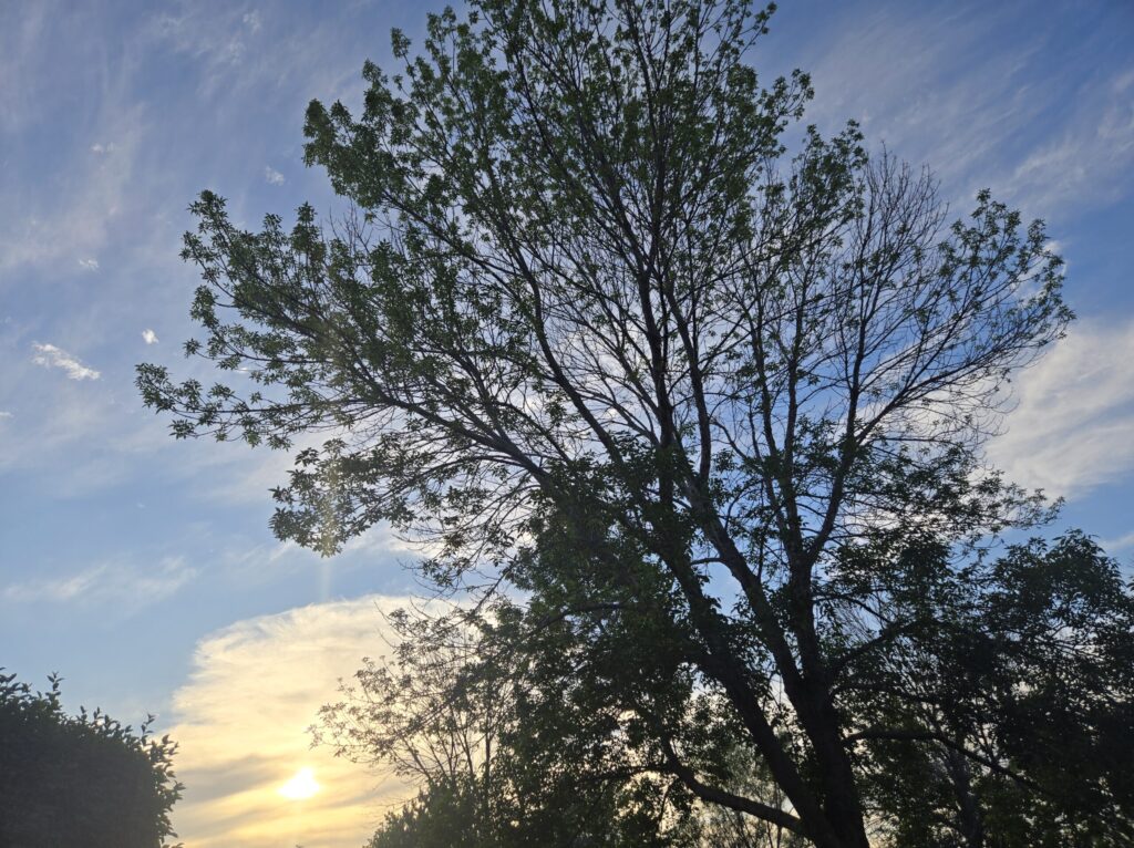 20260526 190802