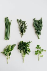 fresh kitchen herbs