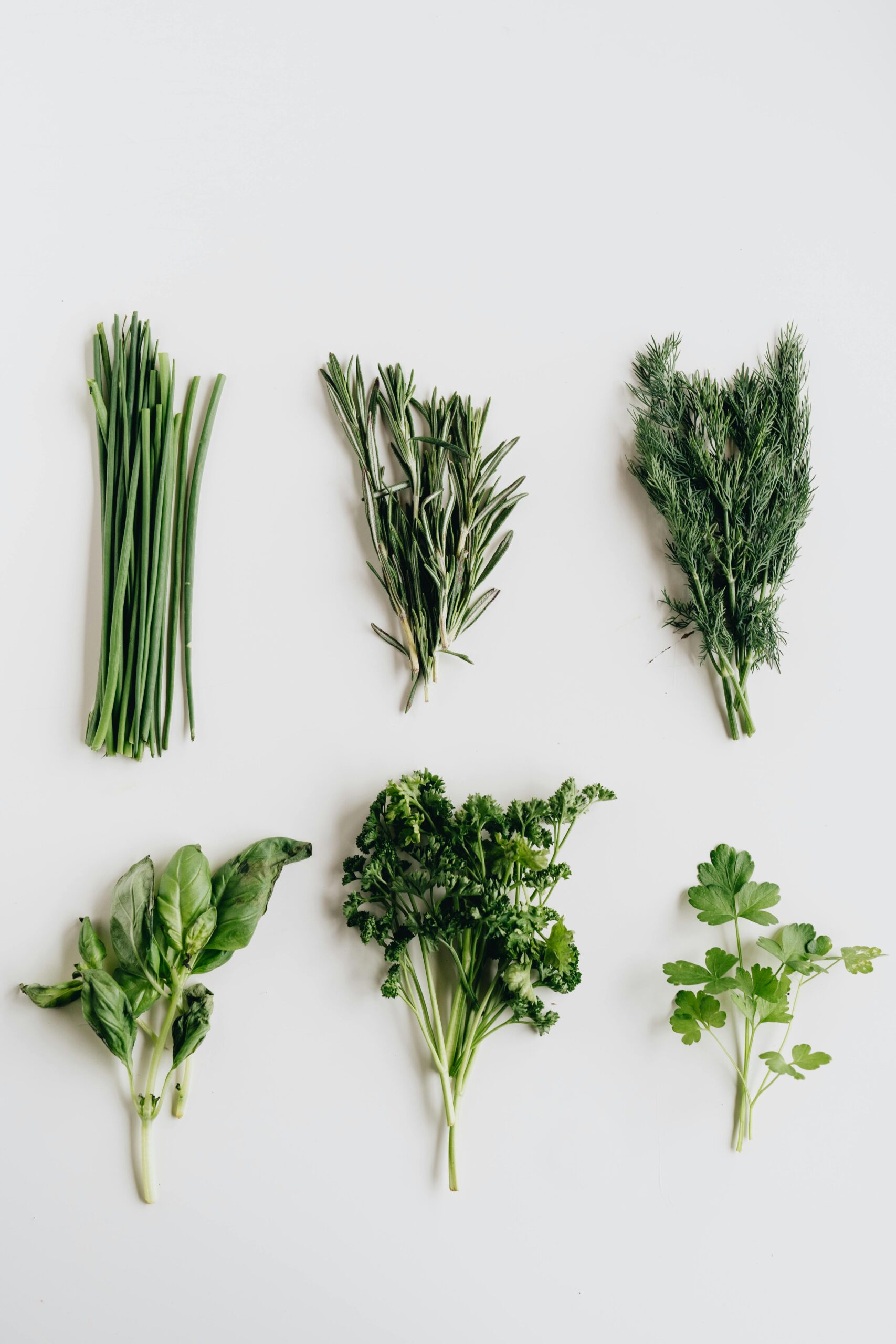 fresh kitchen herbs