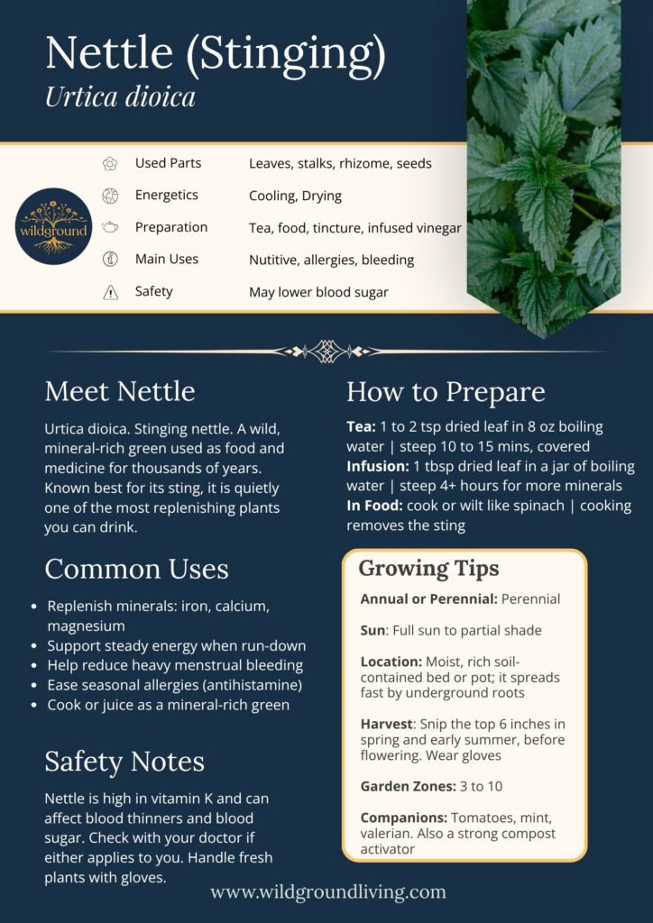wildground nettle profile