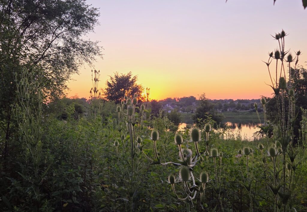 slow summer sunset